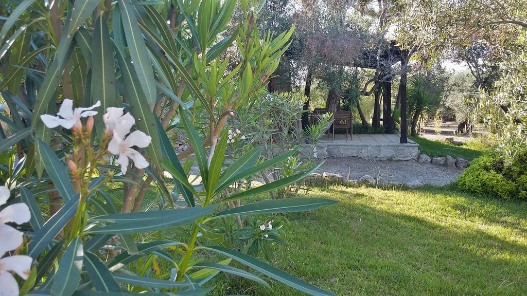 טורה סן ג'ובאני אוג'נטו Tenuta Terenzano מראה חיצוני תמונה