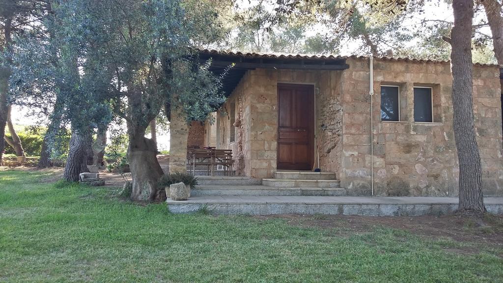 טורה סן ג'ובאני אוג'נטו Tenuta Terenzano מראה חיצוני תמונה
